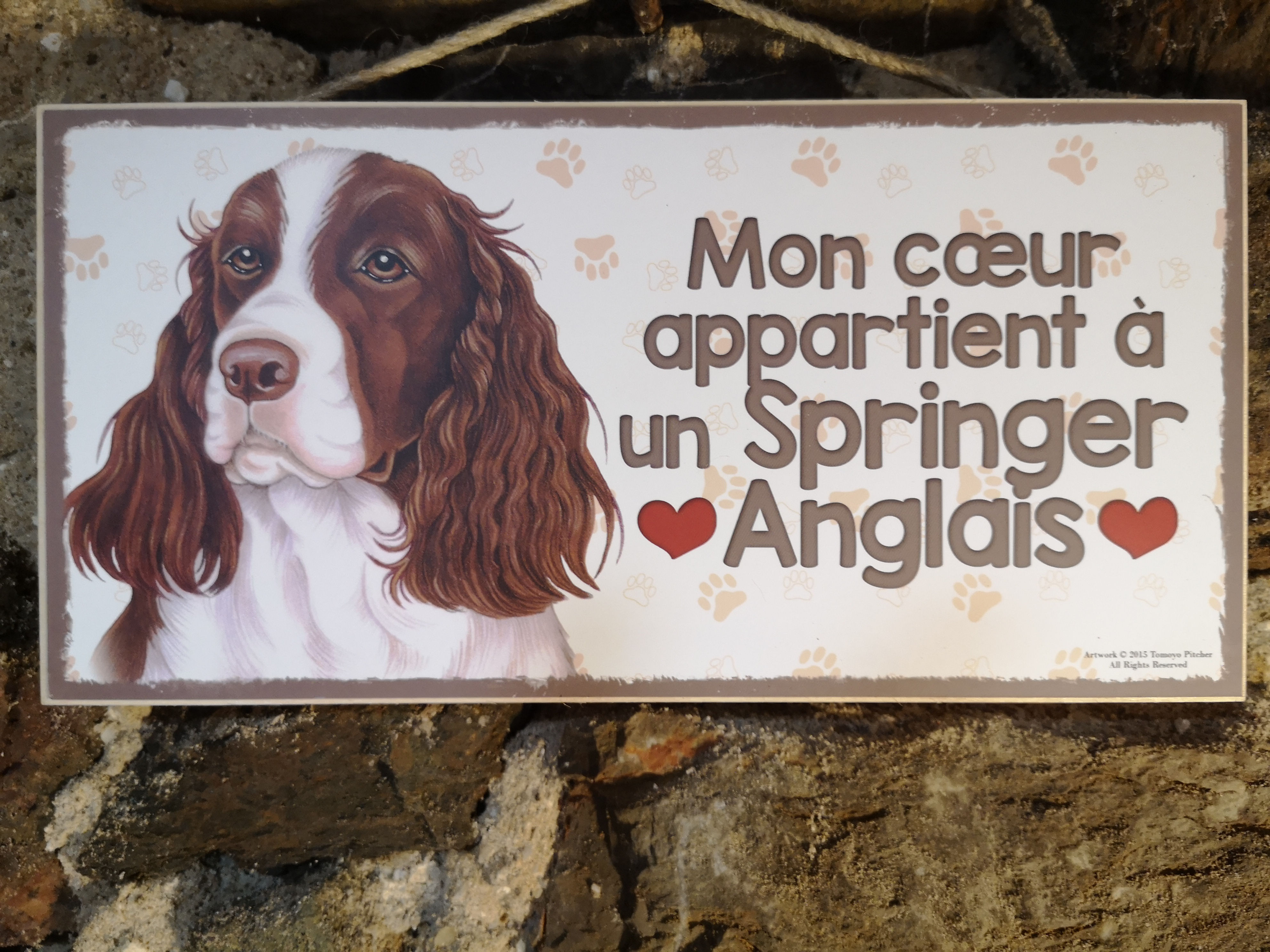 Springer Anglais