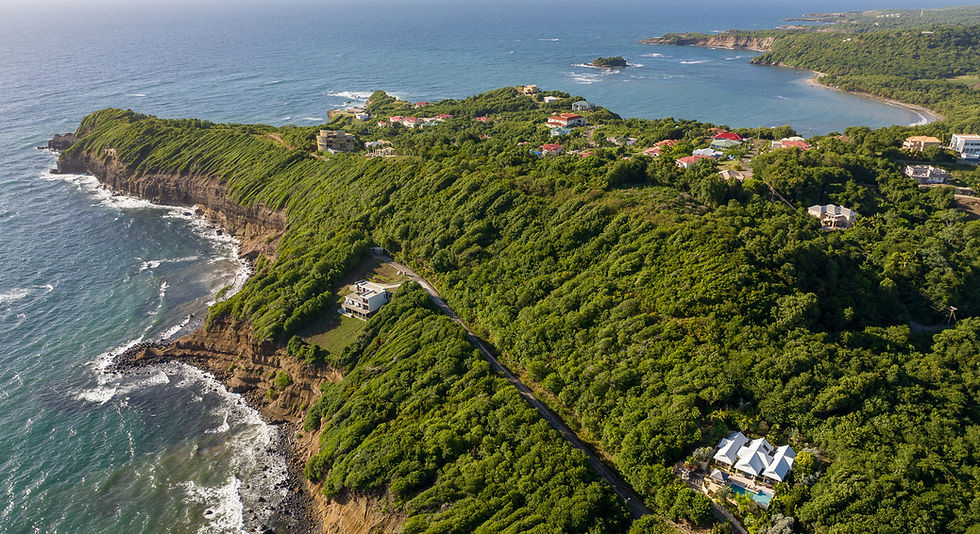Resort Land Hope Estate Grenada Land Buying Tips