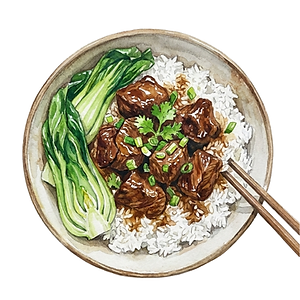 Braised Beef Rice 牛肉饭