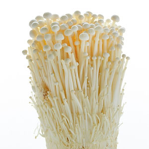 Signature Enoki Mushroom