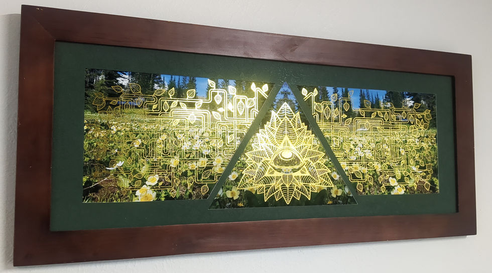 EyeHuasca Vines Triptych
