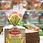 Thumbnail: Dimpflmeier Vollkornbrot Rye Bread - Healthy and Delicious German-Style