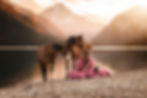 Paarden & Honden fotografie