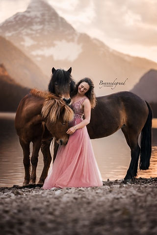 Horse photography