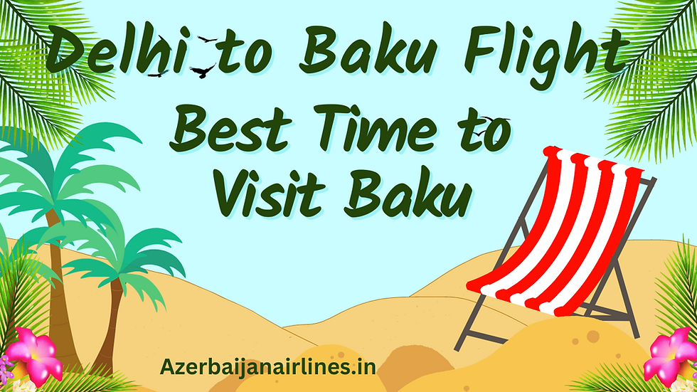 Delhi to Baku Flight