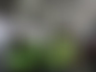 Akgün Elektrik Mühendislik ve Tedak'ı Ziyaret Ettik