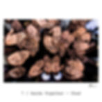Thumbnail: Pack 5 prints of your CHOICE