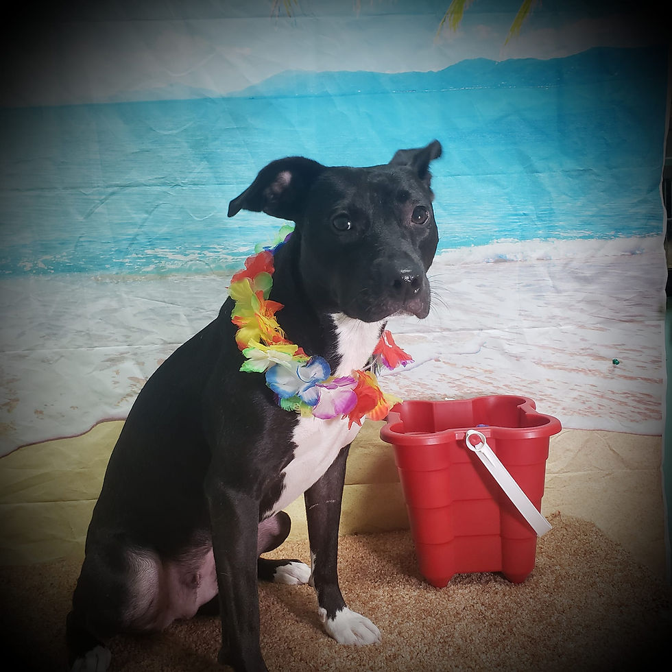 367701957_814490470676659_391393900141738150_n