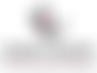 Empower the Immigrant Woman