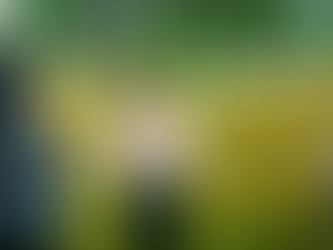 Claudette stands in a field with two IHP participants.