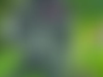 Durchgelesen und die Folgen des Genozids in Ruanda erlebt - Teil 227