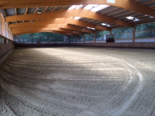 Reithalle Voß, Familienbetrieb, Pferdepension, Förderung & Ausbildung von Pferden & Reitern, Reiter & Pferd, Stallung & Weide