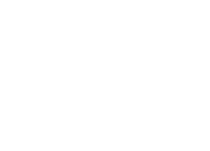 ALUNA Pilates-Studio in Ratingen: Trainerin leitet Teilnehmer bei Matten- und Geräte-Pilates-Kursen an, um Kraft, Balance und gesundes Training zu fördern.
