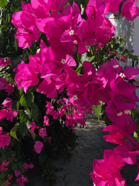 Geschichten & Bücher, Bücher von Marie Molsberg, Romane, Kurzgeschichten, Lesungen, Schreiben, Bücher schreiben