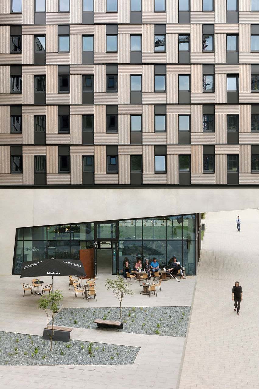 Koalition für Holzbau, Holzbau-Experten, Ambassadeure, Bauen mit Holz, Holzbau ist klimaneutral, Holzbau ist politisch