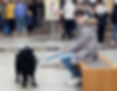 Förderung der Selbstwirksamkeit mit Hunden, soziale Unterstützung durch Therapiehunde, Sinnesförderung durch Tiere, Lernförderung mit Hunden, tiergestützte Intervention