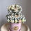 Miniatura: Calliope