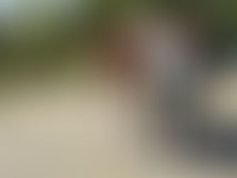 «Å bruke mat som motivasjon i trening av hest er unaturlig»