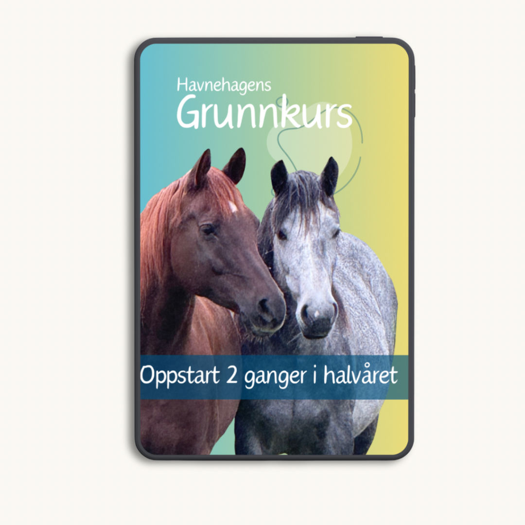 Havnehagens Grunnkurs - oppstart august, oktober, februar og april