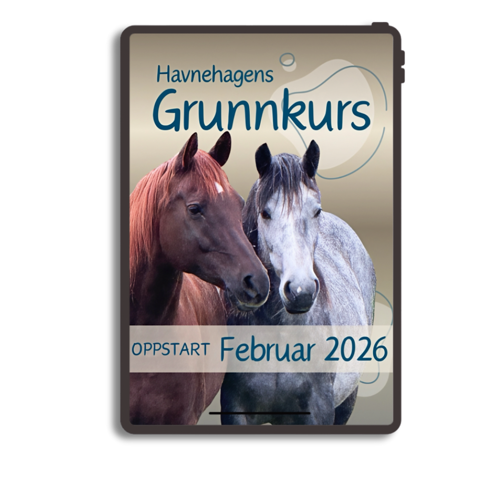 Havnehagens Grunnkurs - februar 2026