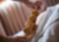 massage2.png