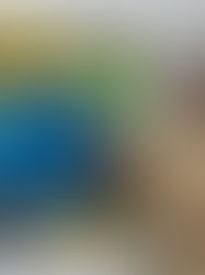 Life in the Studio: The Wall of Texture