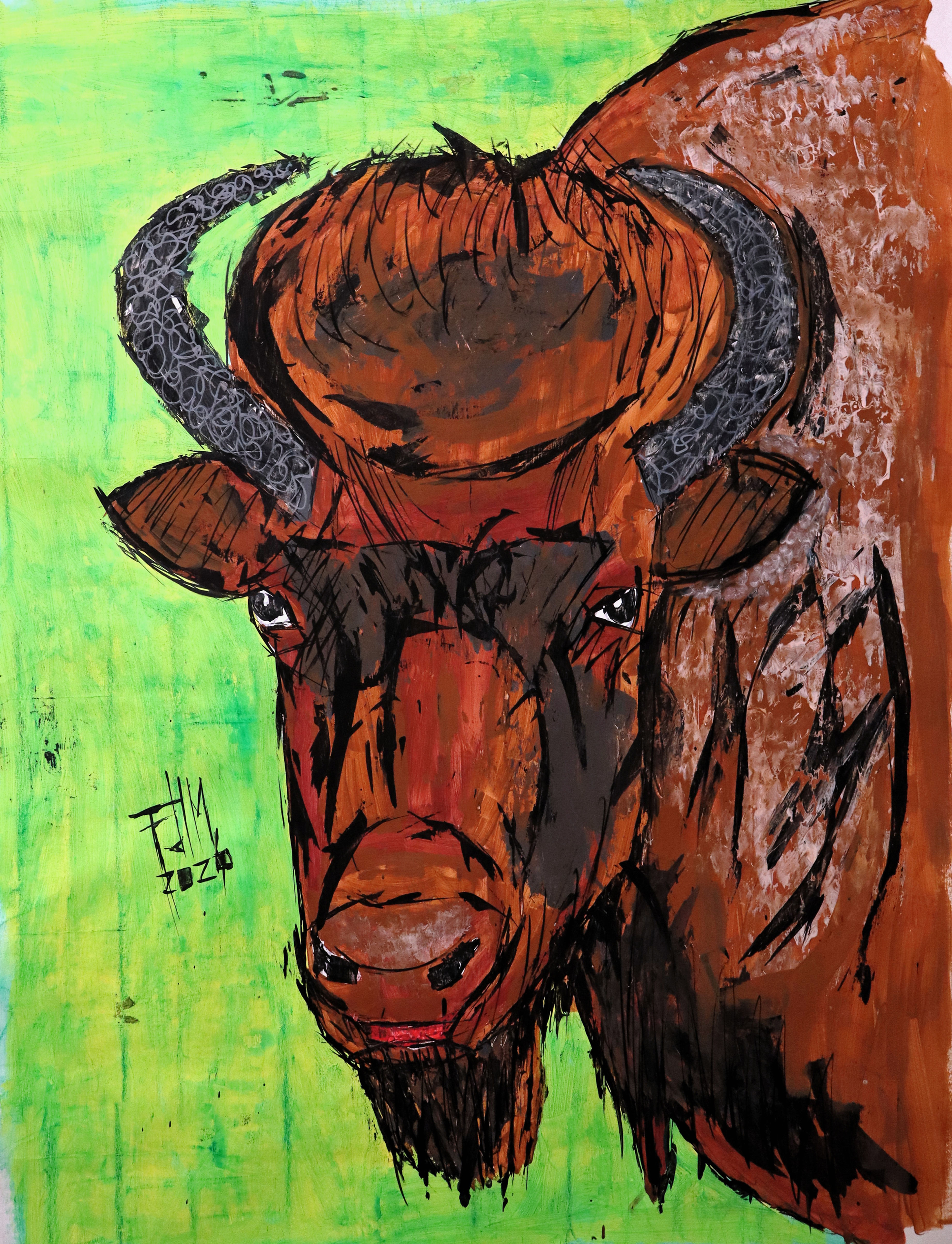 Wyoming Bison - 2026