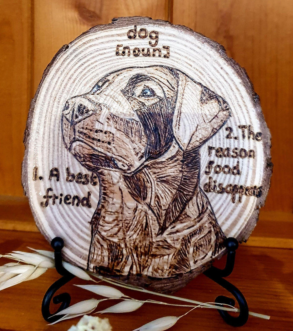 Thumbnail: Cat [noun] & Dog [noun] pyrography