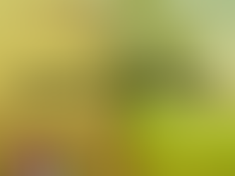 Appreciating the Value of Accepting Change