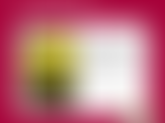 Finding Happiness and Inner Balance: An Approach to Harmony and Self-Care Within-Vol. 6