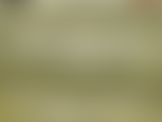 Gratitude and the Adventure of Giving Back: A Journey of Self-Discovery