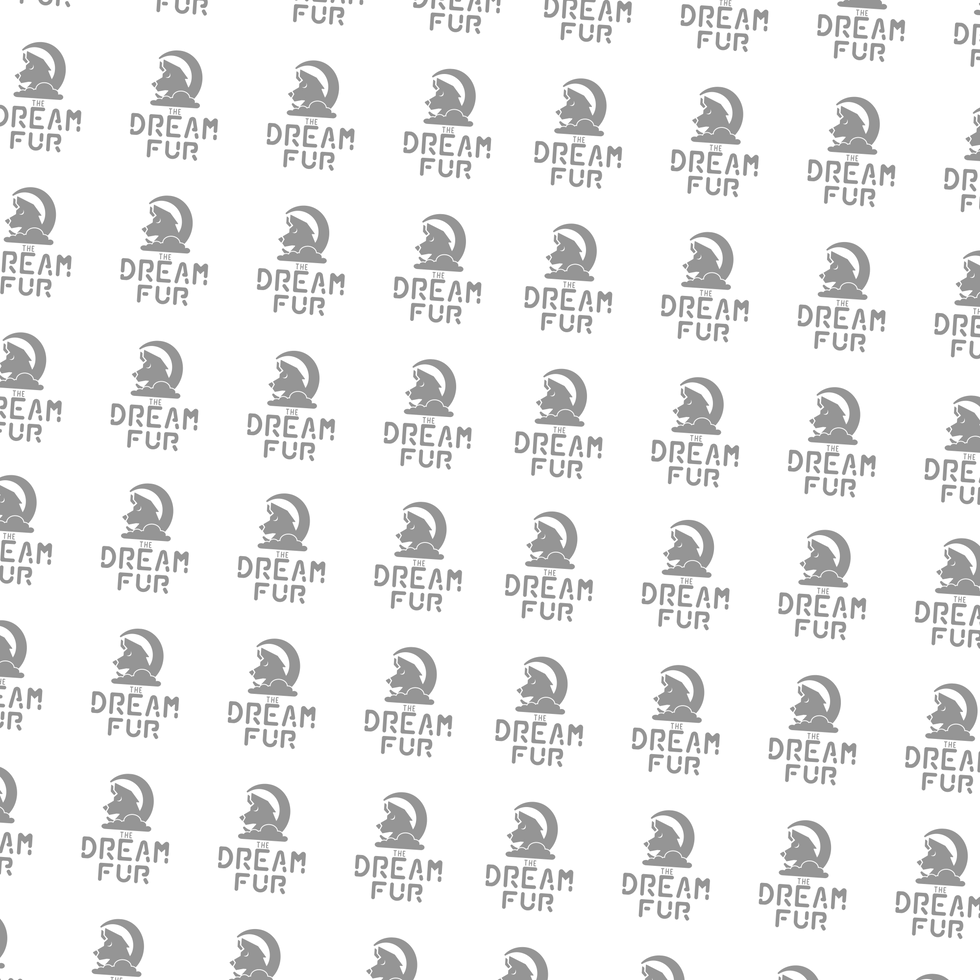 Logo Fondo.png