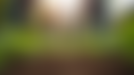 Volunteer with PARASA RAJ organization: Make a Difference Today