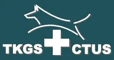 TKGS Logo-7b3ce38d.webp