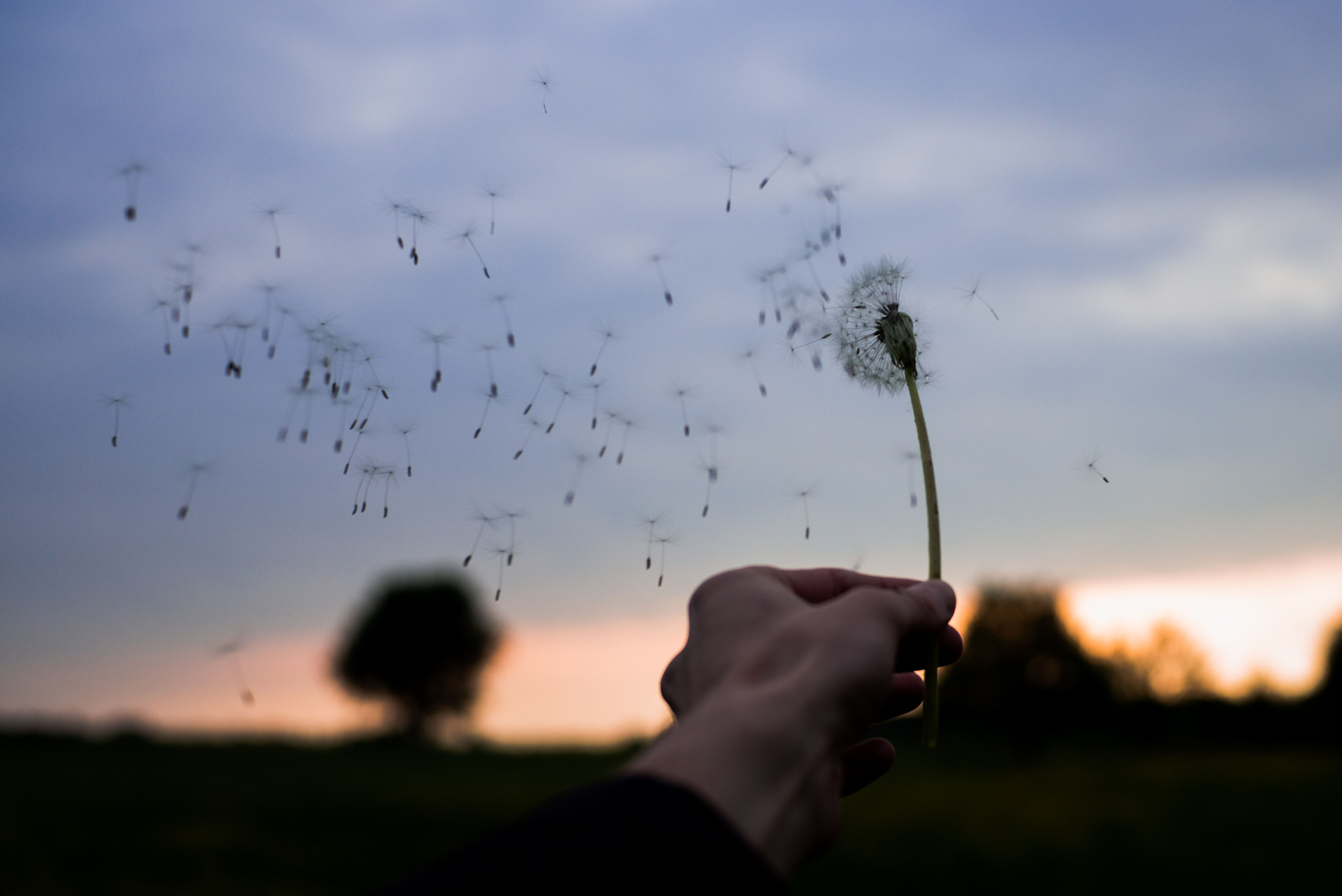 The gift of the 6 directions - Intuition, ease and clarity