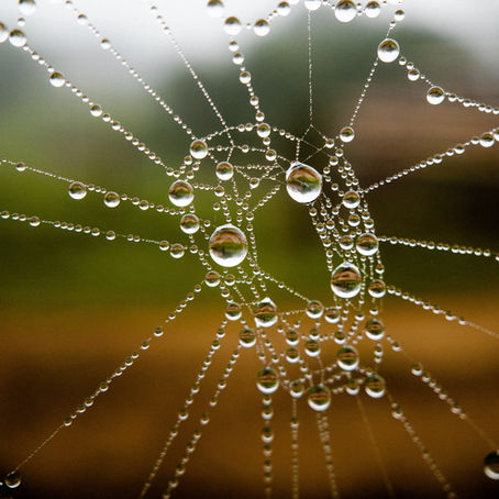 Being yourself in relationships - releasing the "bugs" out of your connectivity net.