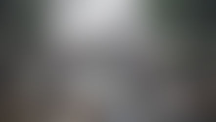 Love a good fog