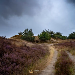 LOONSE  & DRUNENSE DUINEN