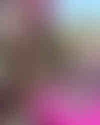 Plais Sebban, Marrakech