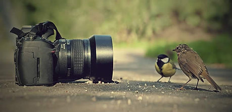 concurso-fotografia.jpg