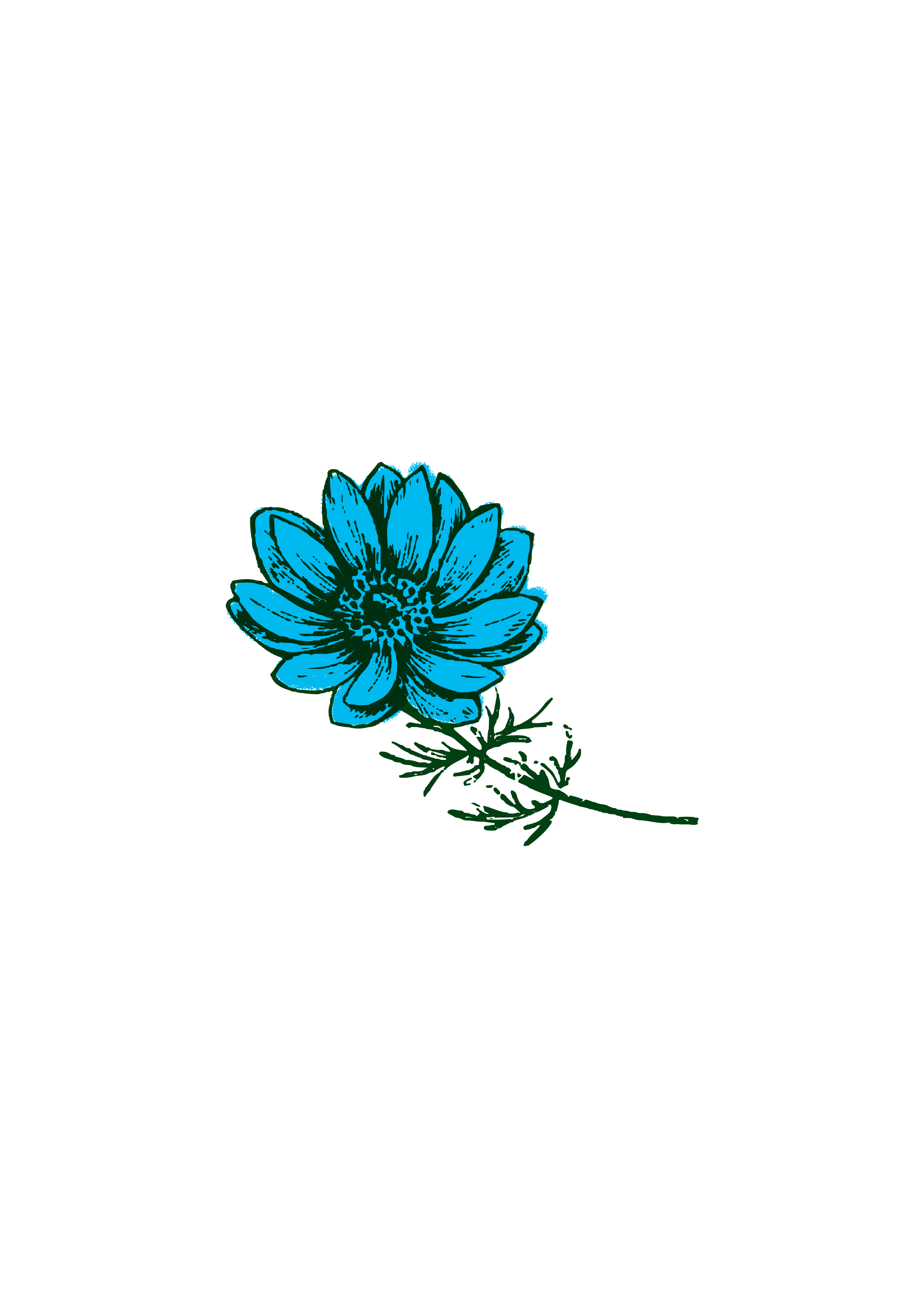 blume_für_staudendünger.gif