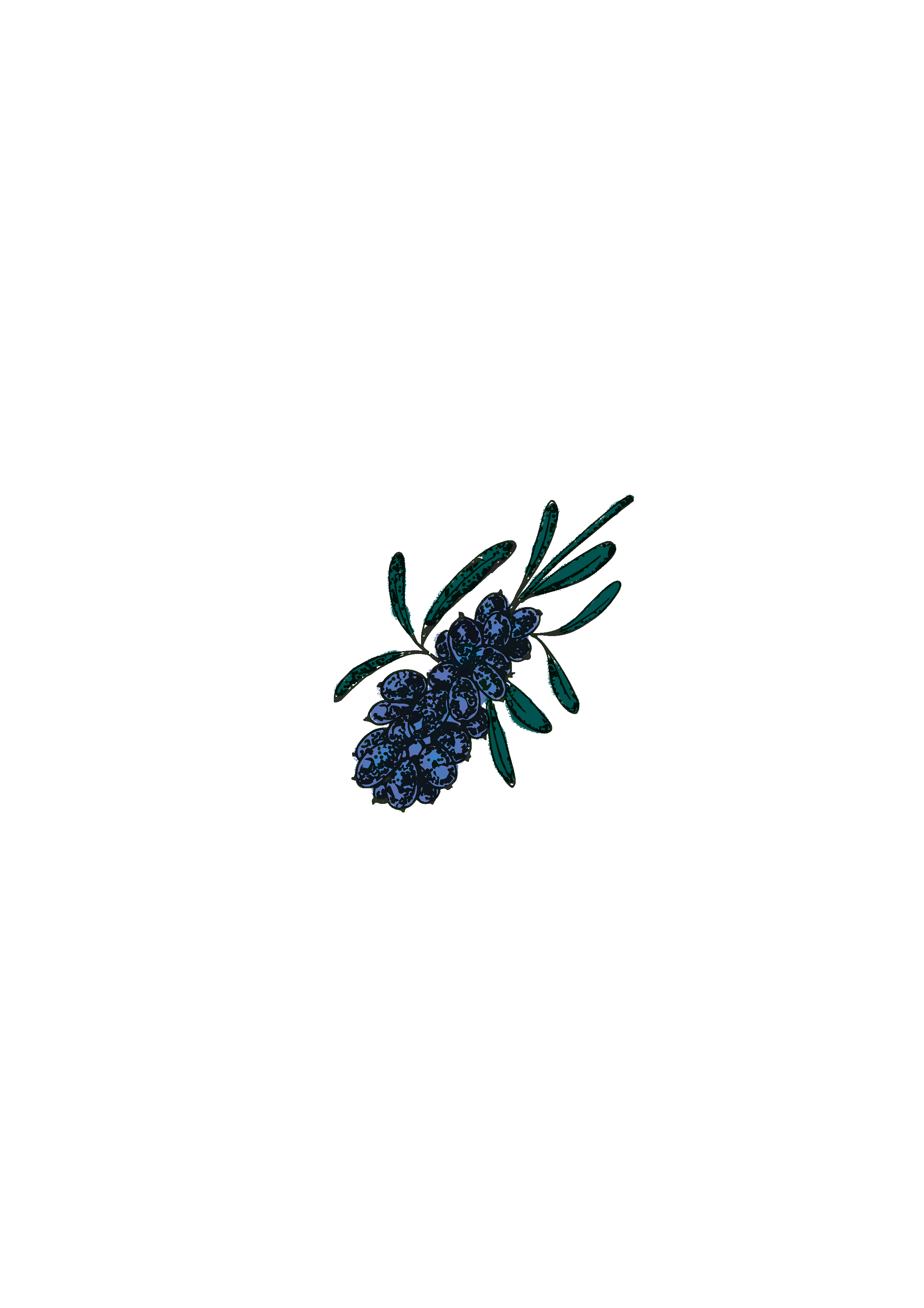 beeren_f_beerendünger.gif