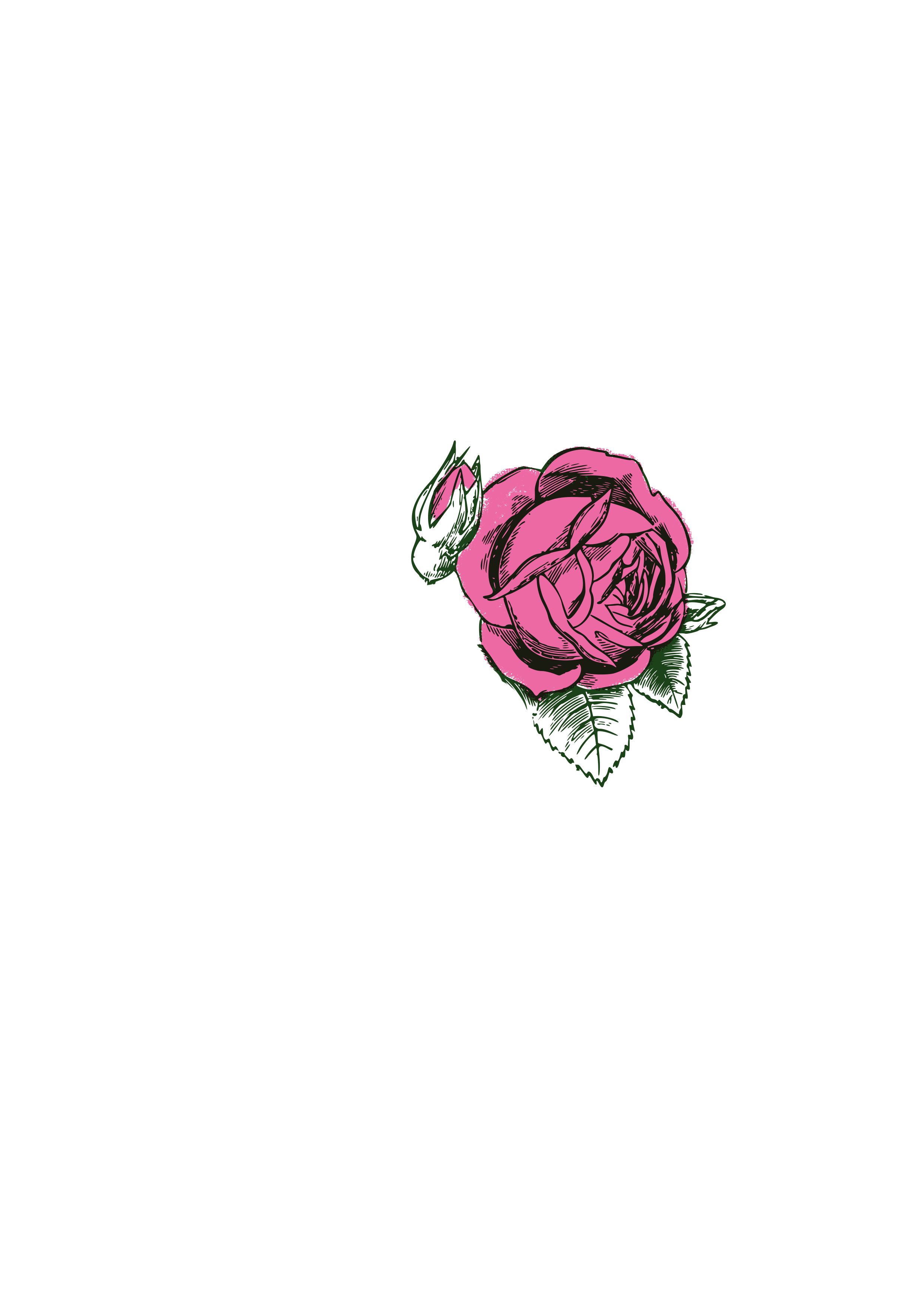 Rose für rosendünger.gif