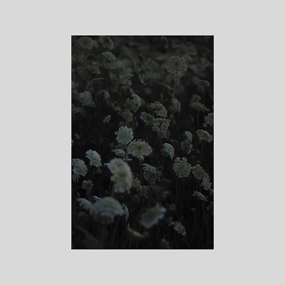 Image 22.png