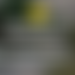 【園區停電公告】2026/3/31(二)昆仲公園電力設備定期檢測!