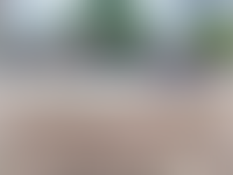 【印象・台塑】藝術策展計畫!鎮港園社區大學