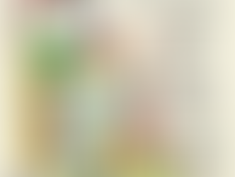 觀景書屋-二手玩具閱讀實驗小學園