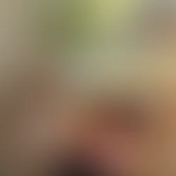 【甜上壹生】草莓可朗芙與蜂蜜檸檬巴斯克..