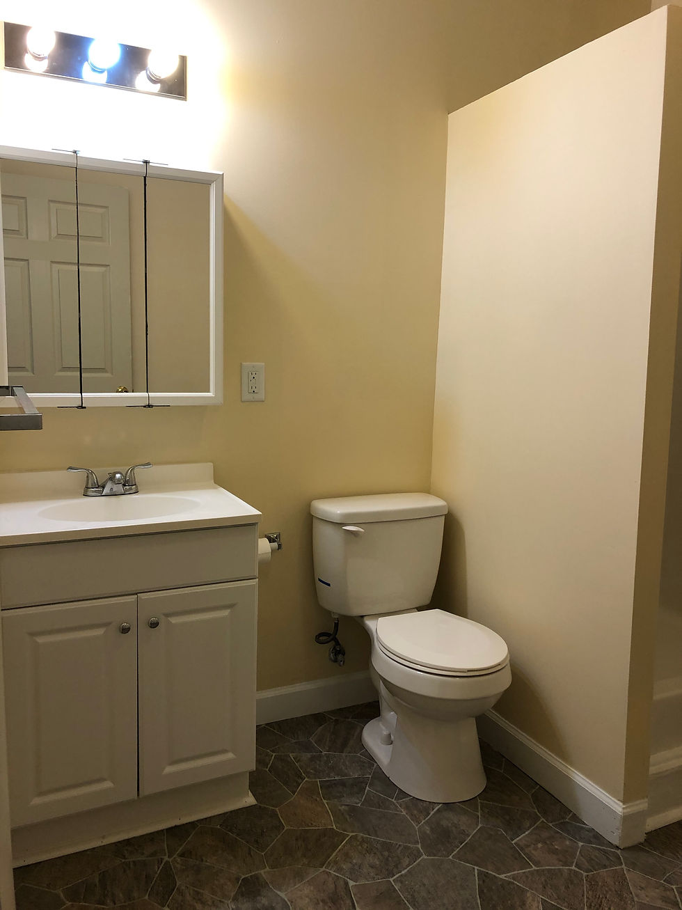 Lower Level Full Bathroom