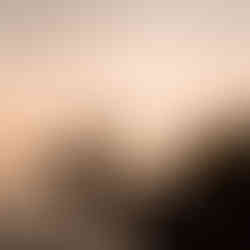 trouwfotograaf friesland